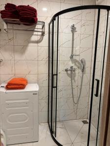 a shower stall in a bathroom with a toilet at Miera osta in Salacgrīva