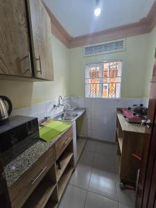 a small kitchen with a sink and a window at MildVille Apartments in Hoima