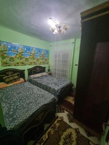 two beds in a room with green walls at Sobh safa holiday in Al Ghuşnah