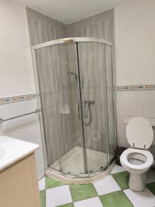 a shower stall in a bathroom with a toilet at Salthill Gem in Galway