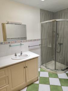 a bathroom with a shower and a sink at Salthill Gem in Galway