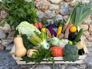 a basket full of vegetables on a stone wall at Suite piscine in Valensole