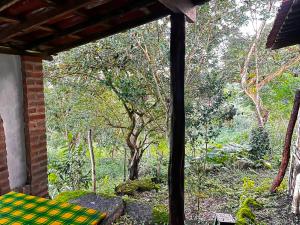 a porch with a view of a forest at Sitio Viração in Bonito