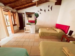 Ein Zimmer mit zwei Betten und Vögeln an der Wand in der Unterkunft La Posada in Máncora + 54 Fotos