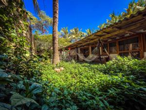 ein Haus mit einer Hängematte und einer Palme in der Unterkunft La Posada in Máncora