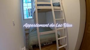 a bunk bed in a room with a ladder at La Maison de l'horloge in Bagnères-de-Bigorre