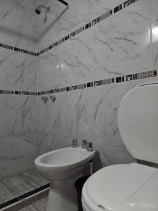 a bathroom with a white toilet and a sink at Hotel Geminis in Mendoza