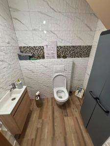 a bathroom with a toilet and a sink at Kuća za odmor Velnira in Ozalj +16 photos