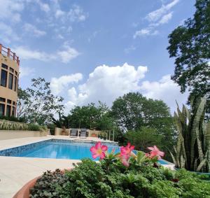 a swimming pool with flowers in a garden at Villa Cayo in San Ignacio