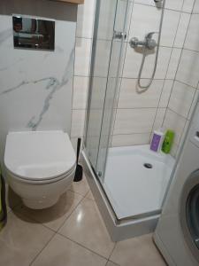 a bathroom with a shower and a toilet and a sink at Marshal Foch Apartment in Grudziądz