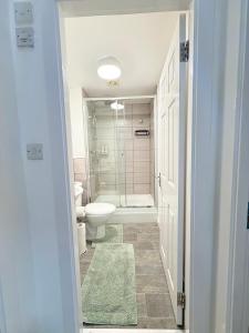 a bathroom with a toilet and a sink and a shower at Brit Rooms Manchester in Manchester
