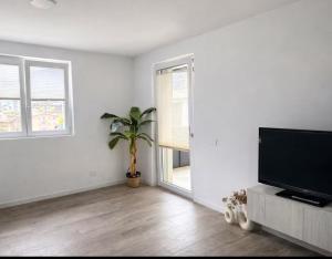 a living room with a flat screen tv and a potted plant at Civico27-modern apartment in Sondrio in Sondrio