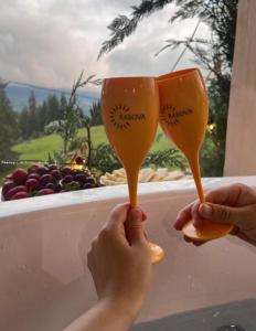 a person holding up two wine glasses in front of a bath tub at Virajlux in Dâmbovicioara +13 photos