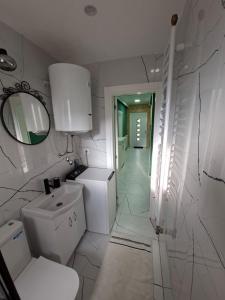 a bathroom with a sink and a toilet and a mirror at Apartman Jana in Žabljak +2 photos