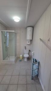 a bathroom with a toilet and a glass shower at Amber coast - domek nr 5 in Jantar