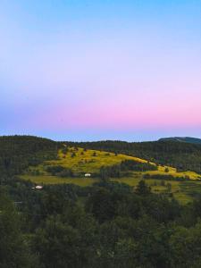 a view of a hill with trees and a field at Au Calme Des Vosges in Fresse-sur-Moselle
