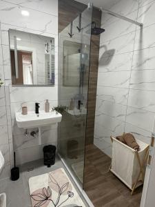 a bathroom with a shower and a sink at Apartman Daniela Lake View in Donje Mladice +11 photos