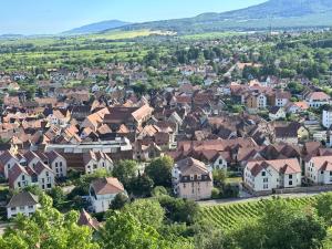 an aerial view of a town with houses at House in Obernai in Obernai