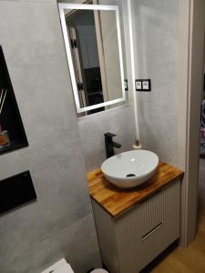 a bathroom with a sink and a mirror at Domki u Ewy in Spychowo +18 photos