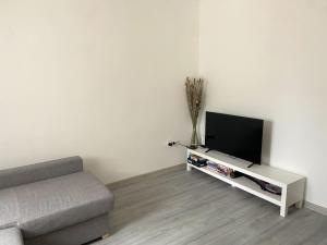 a living room with a couch and a flat screen tv at Apartment MiA with WIFi and private garden in Pavicini