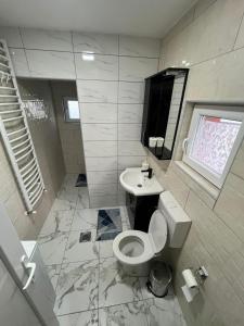 a bathroom with a toilet and a sink at House Bozovic in Žabljak +26 photos