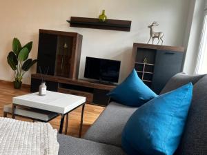 a living room with a couch and blue pillows at Ruhiger Flussblick vom Balkon all-in 5G in Gera