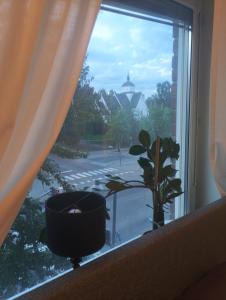 a window with a potted plant on a window sill at The Creative Studio Apartment in Piteå