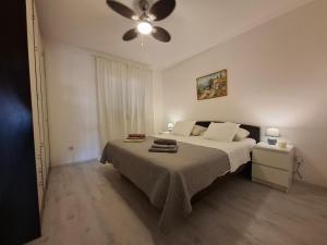 a bedroom with a bed and a ceiling fan at Apartman Terrazza in Sumartin