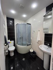 a bathroom with a shower and a toilet and a sink at Didveli Mountain Apartment in Bakuriani