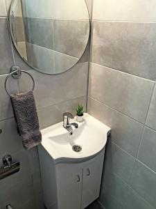 a bathroom with a sink and a mirror at Fenix apartman in Zaječar