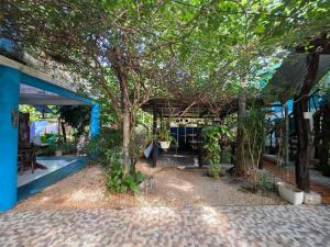 a patio with a table and a tree in front of a building at Cabinas del Mar in Sámara