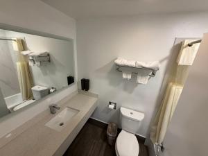 a bathroom with a sink and a toilet and a mirror at Crescent Inn in Wilmington +57 photos