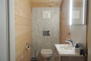 a small bathroom with a toilet and a sink at Nassfeld Holiday Home in Rattendorf +20 photos