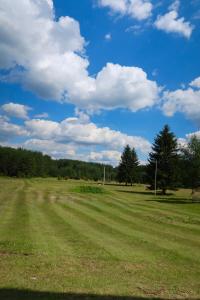 a large grass field with a blue sky and clouds at Durmitor Stay in Žabljak