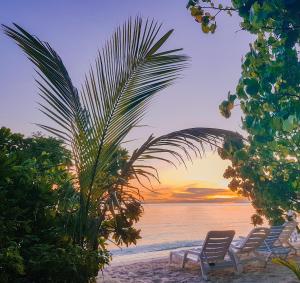 a group of chairs on a beach with a palm tree at White Sand Maldives in Ukulhas