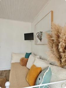 a living room with a couch with pillows and a tv at Le Clos de Saint Georges in Saint-Georges-dʼOléron