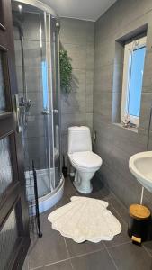 a bathroom with a toilet and a shower and a sink at Domki na Wesołej 2 in Połczyno