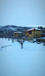 a group of trees in the snow next to a building at Saghbine bungalows in ‘Ayn Zubdah