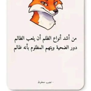 a picture of a fox in at القويرة in El Quweira
