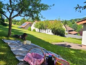 a dog laying on a picnic blanket in the grass at Ferienwohnung Schwarzhof- Hahnekräh am Bostalsee, helle 75 qm & hundefreundlich in Nohfelden