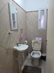 a small bathroom with a toilet and a sink at Abu Rosa in Villa Elisa +6 photos