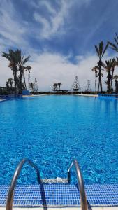 a large swimming pool with blue water and palm trees at Chez Bouchra Suite familiale in Pont Blondin