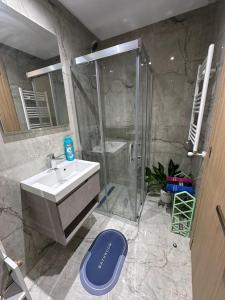 a bathroom with a shower and a sink and a tub at Cozy Urban Nest in La Marsa