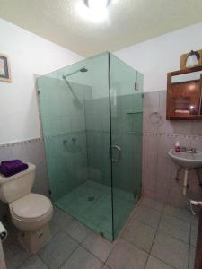 a bathroom with a shower with a toilet and a sink at Casa Lago de Luz in San Juan Cosalá +13 photos