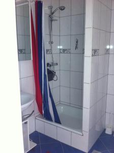 a bathroom with a shower and a tub and a toilet at Landgasthof Hegau in Dunaszekcső