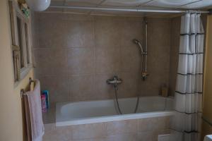 a bathroom with a bath tub with a shower at Kovaci Garden House in Sarajevo +18 photos