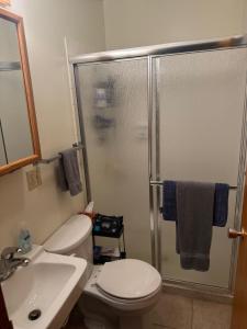 a bathroom with a shower and a toilet and a sink at Dubuque's Hidden Gem! in Dubuque +25 photos