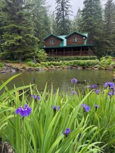 a large house with a pond and purple flowers at Box Canyon Cabins in Seward