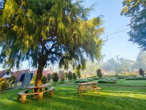 two picnic tables and a tree in a park at Sabda Desa Cabin in Cinyiruan
