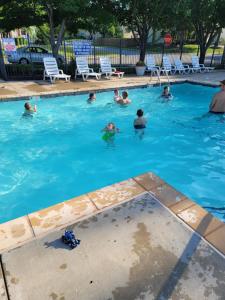a group of people swimming in a swimming pool at Kaw Drive Guest House in Olathe